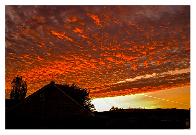 Some of my favourite photos... Click to view...